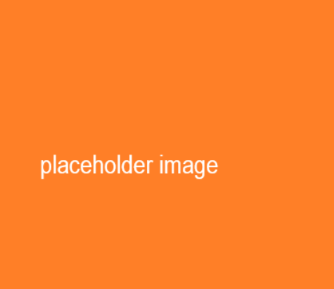 orange square image that says placeholder